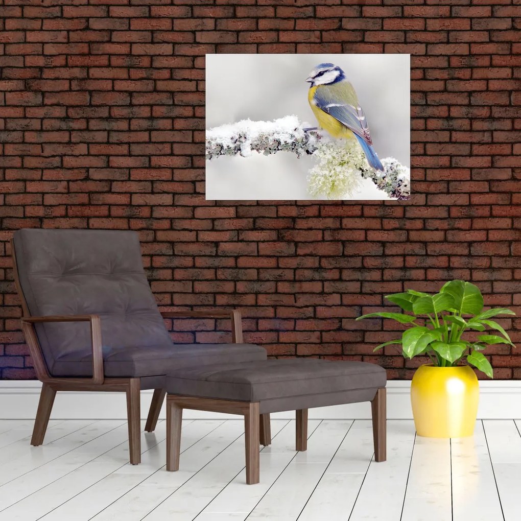 Tablou - Tit albastru în pădure (70x50 cm)