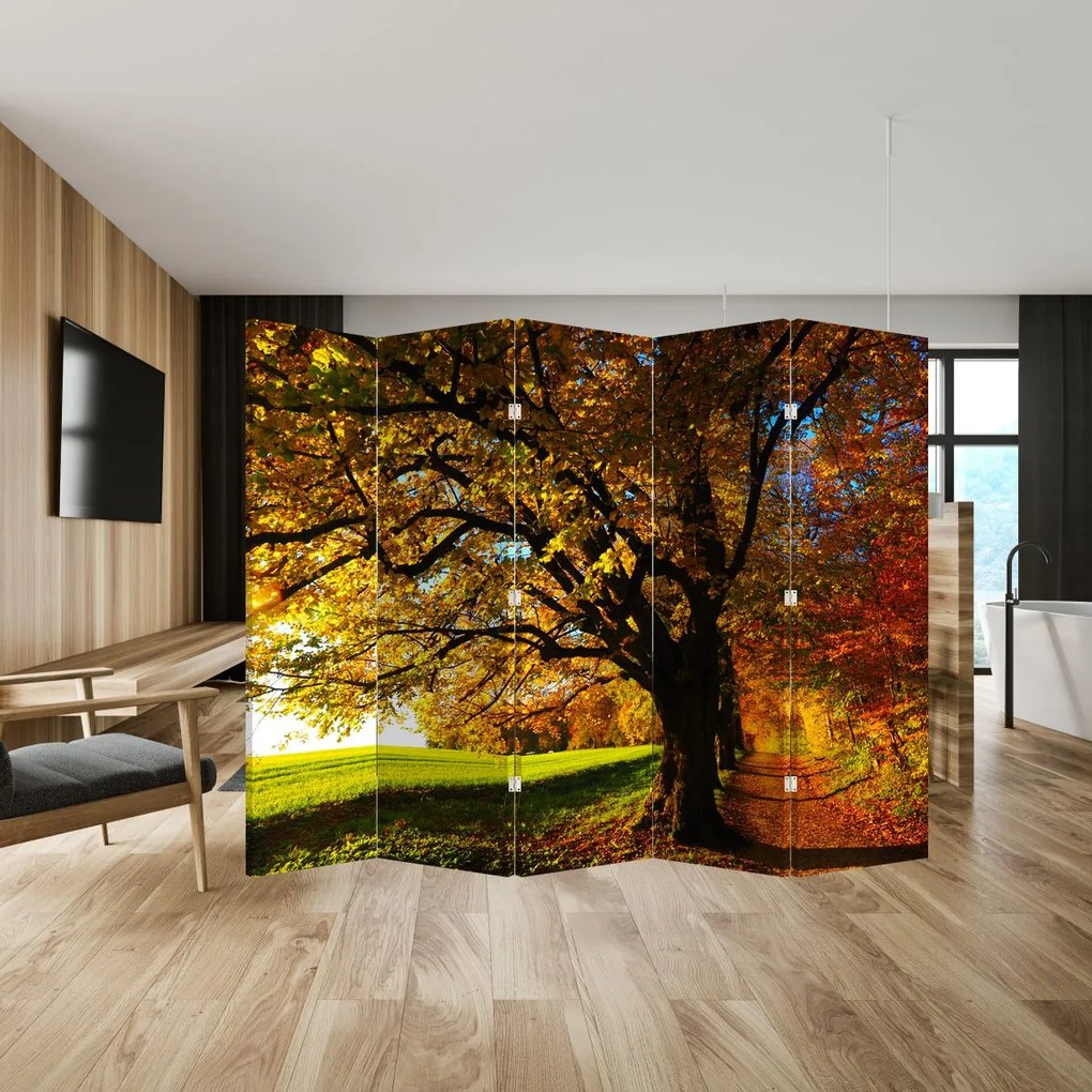 Paravan - Copac toamna (210x170 cm)