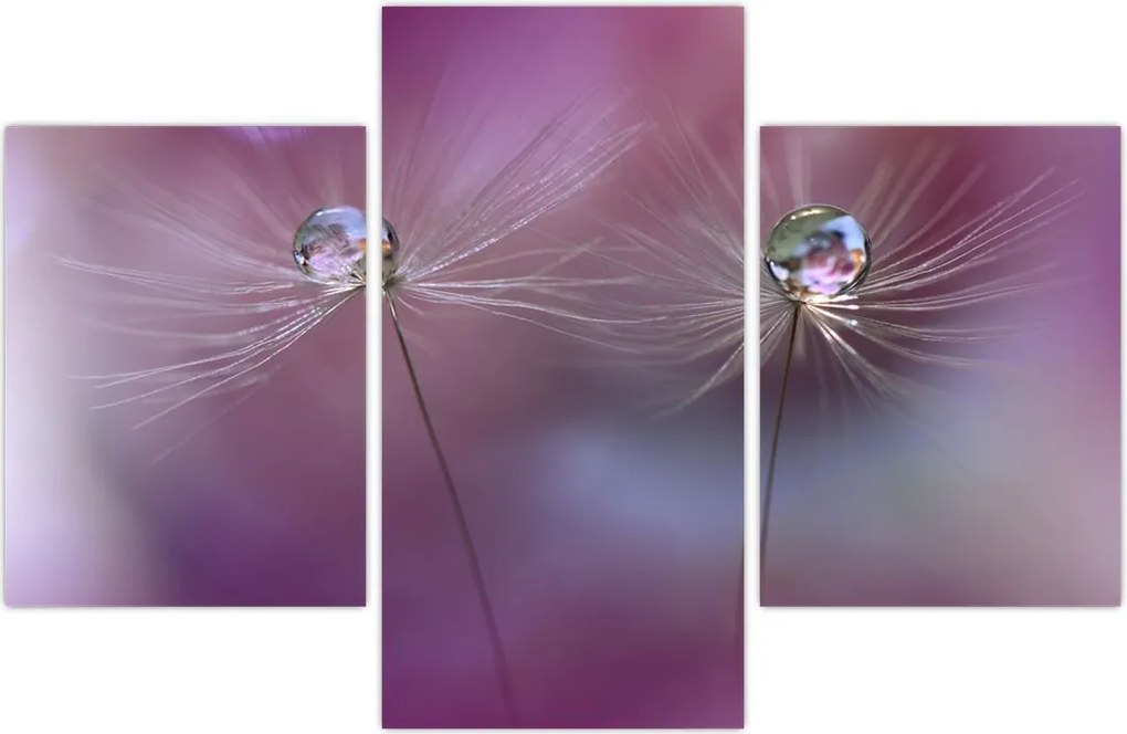 Tablou cu picături pe puf (90x60 cm)