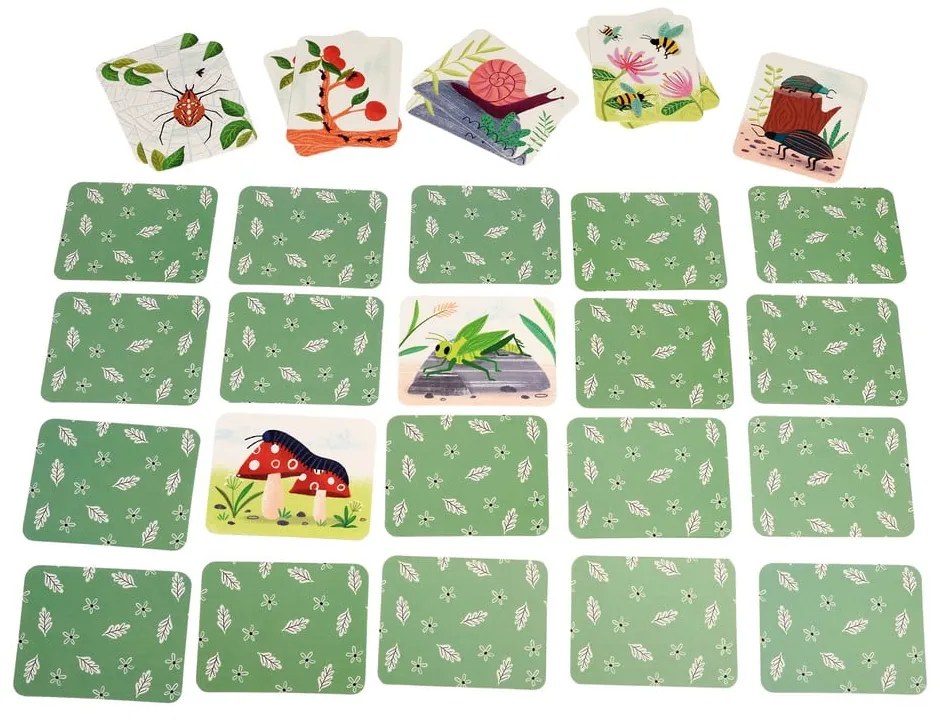 Joc de societate Wonders of Nature – Rex London