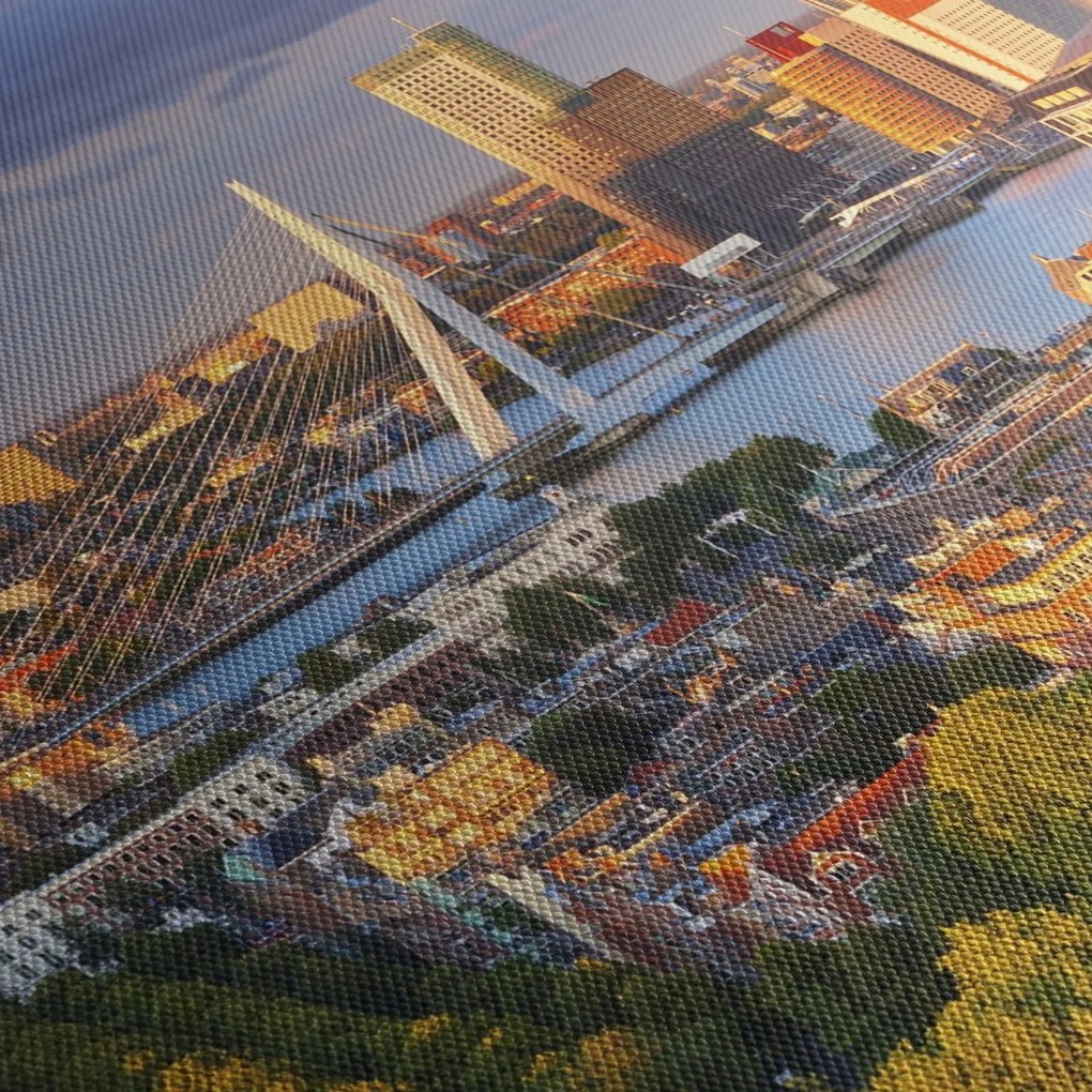 Tablou - Panorama Rotterdamului, Țările de Jos (150x105 cm)