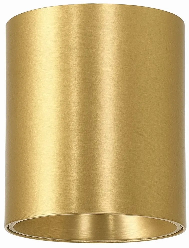 Spot aplicat auriu LED BABIL 10W CCT