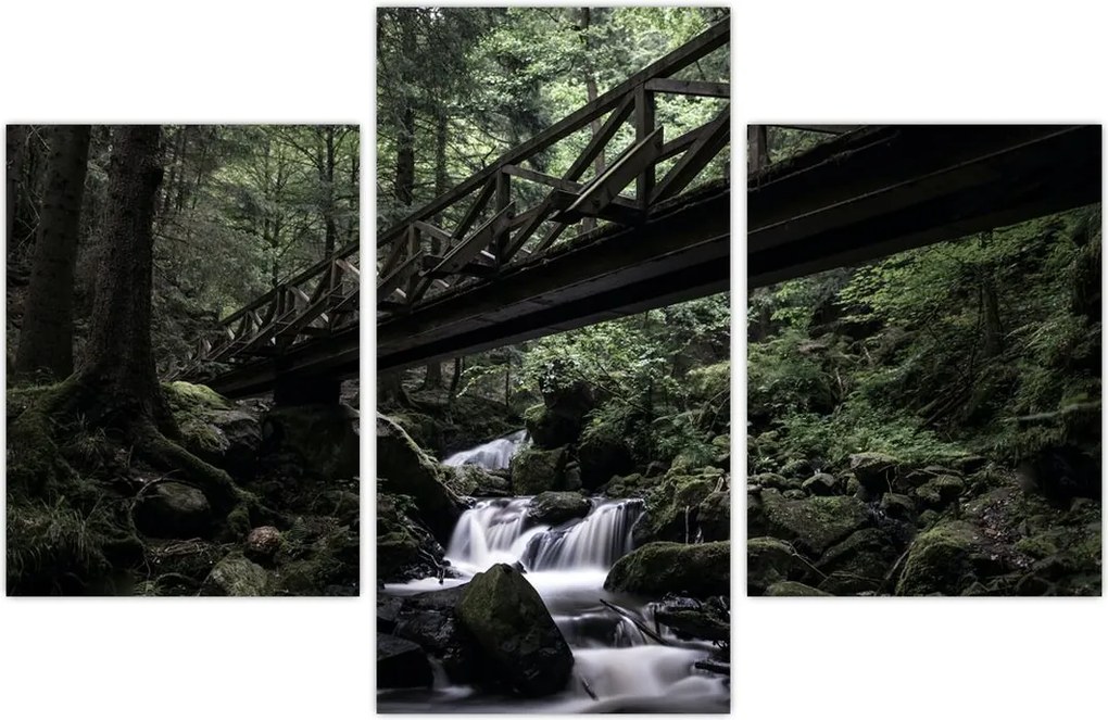 Tablou din pădurea neagră (90x60 cm)