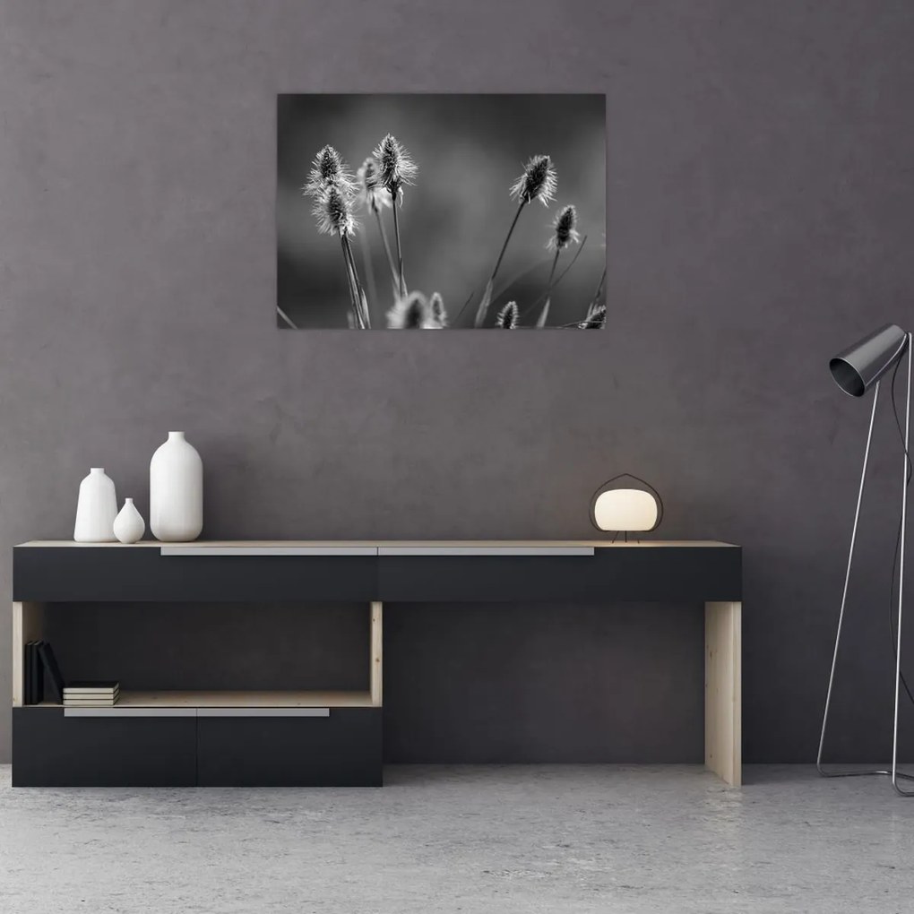 Tablou - Iarbă moale bej N⁰2 (70x50 cm)