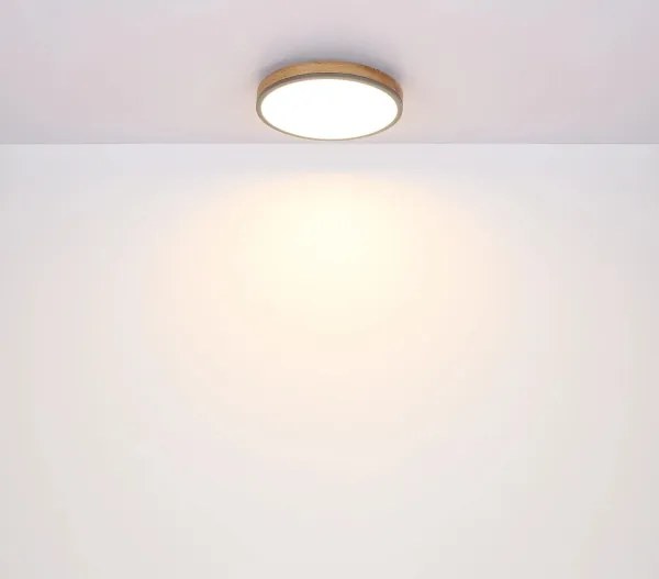 Globo 416080WD2R-CCT-LED Plafonieră DORO dimmabilă 24W/230V 3000-6500K diam. 45 cm