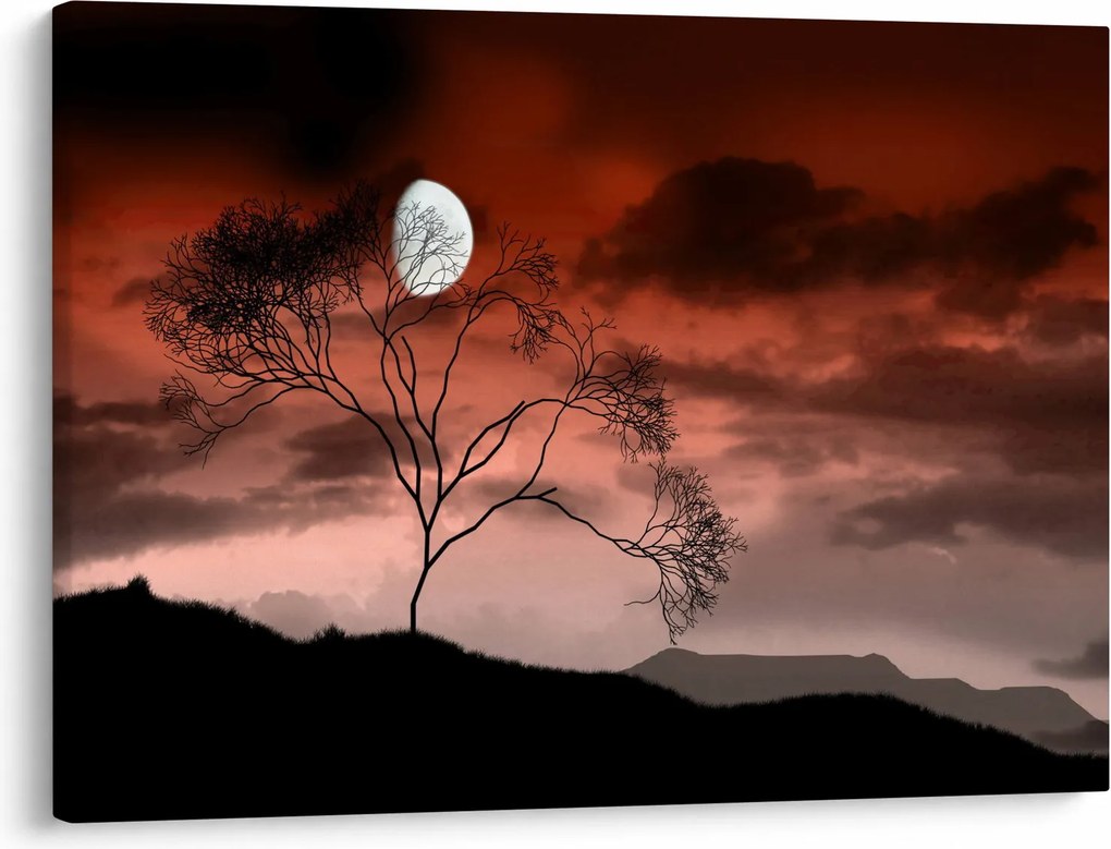 Tablou - Luna luminează noaptea (70x50 cm)