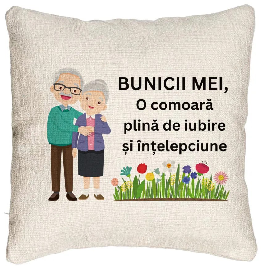 Perna Decorativa Canapea pentru Bunici 4, 40x40 cm, Cu fermoar