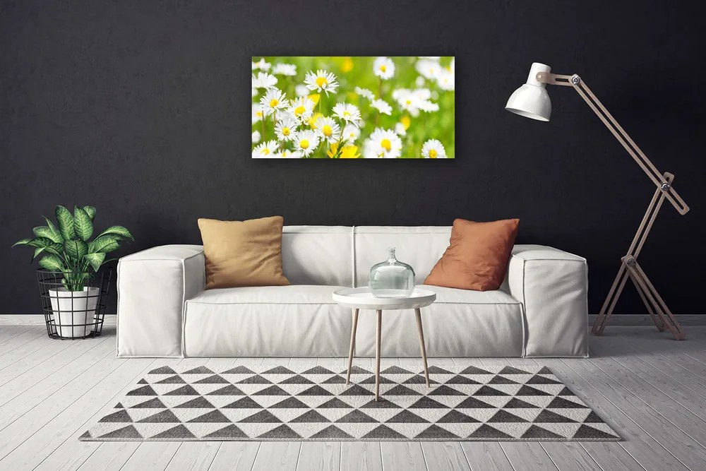 Tablou pe panza canvas Daisy Floral Galben Alb