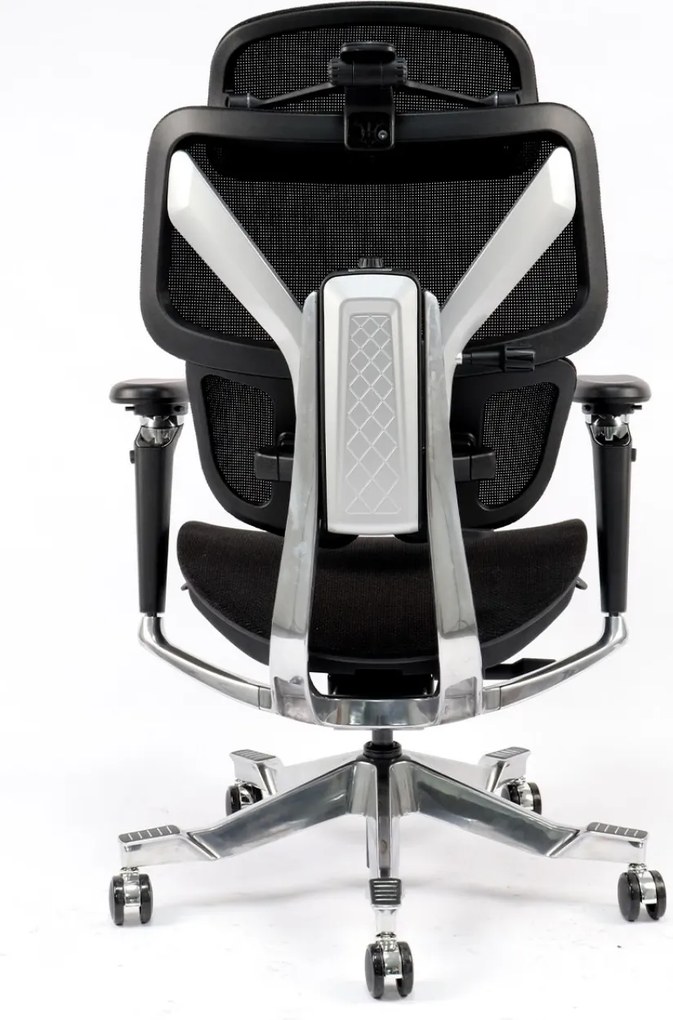 DeluxStar T2 ELITE PRO – Scaun Ergonomic Premium cu Suport Lombar Dual Dynamic 3D, Suspensie Air-Glide și Suport Complet Cervical – Spate – Lombar, Negru