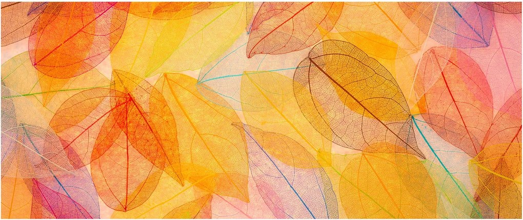 Tablou - Fundal frunze de toamnă (120x50 cm)