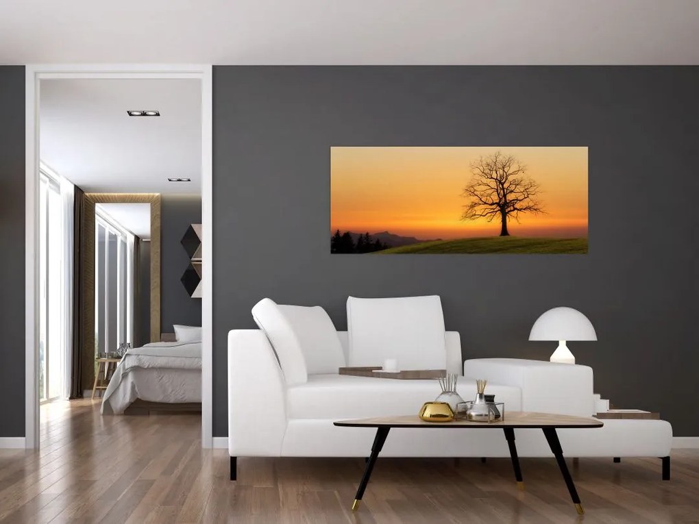 Tablou cu apus de soare pe o luncă (120x50 cm)