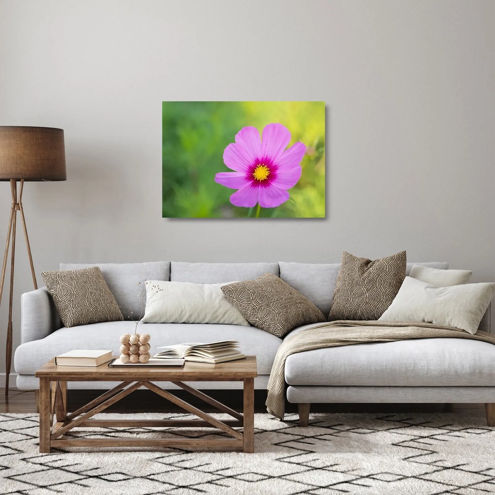 Tablou pe sticlă - floare de câmp (70x50 cm)