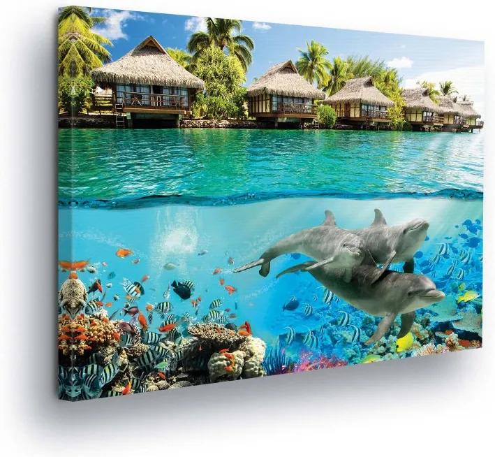 GLIX Tablou - Underwater World with Dolphins II 80x60 cm