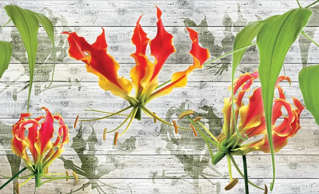 Fototapet - Flori (152,5x104 cm)