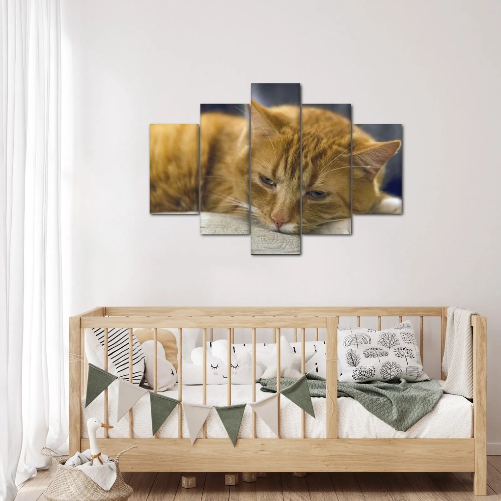 Tabloul pisicii (150x105 cm)