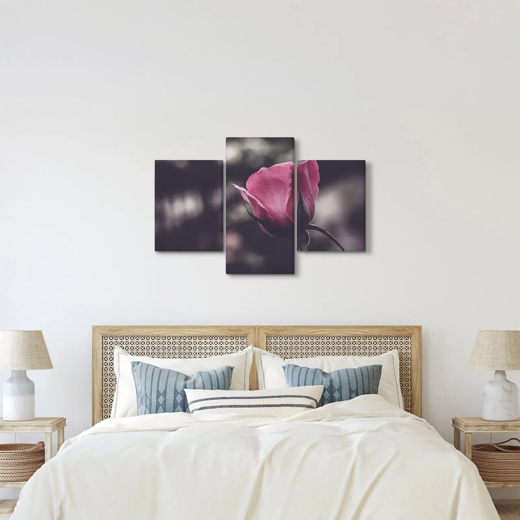 Tablou - Detaliu florii de trandafir (90x60 cm)