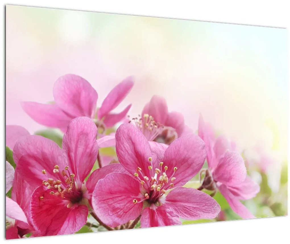 Tablou - Flori roz (90x60 cm)