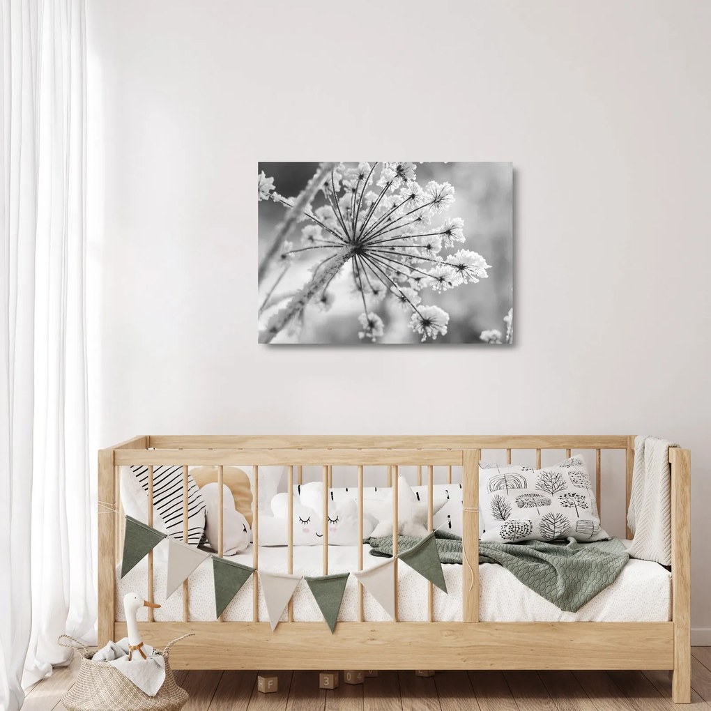 Tablou pe sticlă - Floare în timpul iernii (70x50 cm)