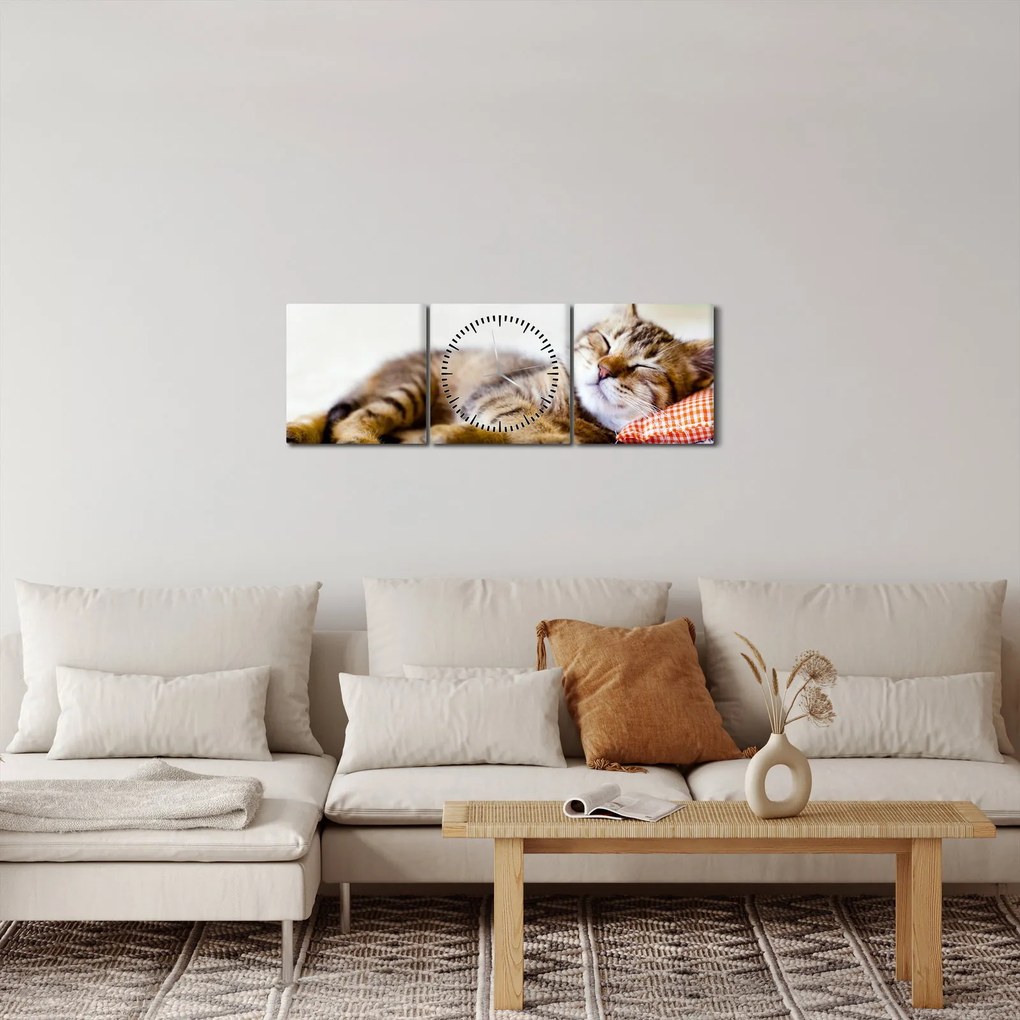 Tablou - Pisicuța adormită (cu ceas) (90x30 cm)