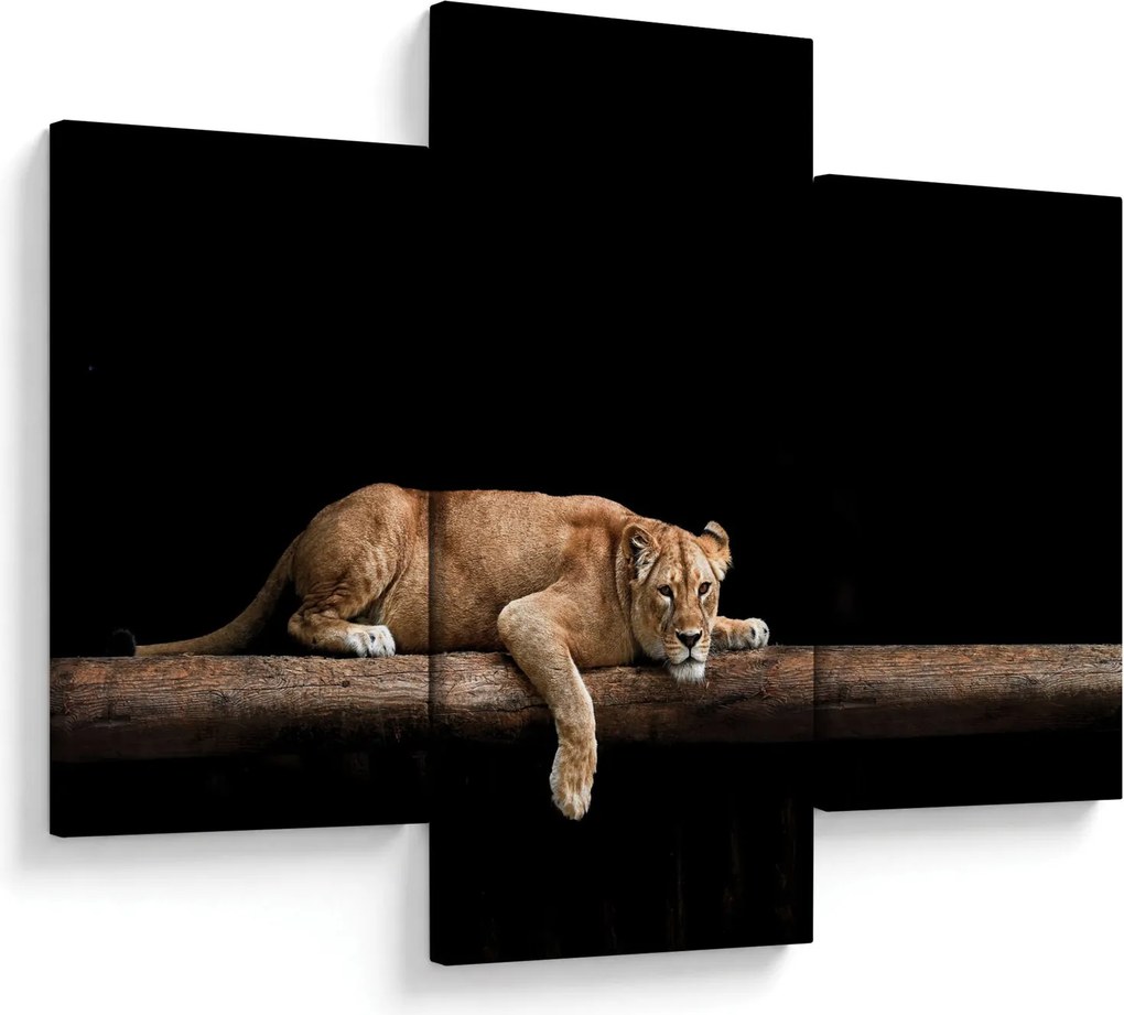 Tablou - Lioness (90x60 cm)