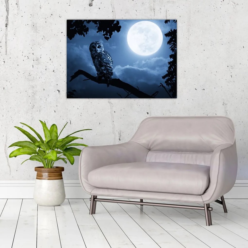 Tablou - Bufnița de noapte (70x50 cm)