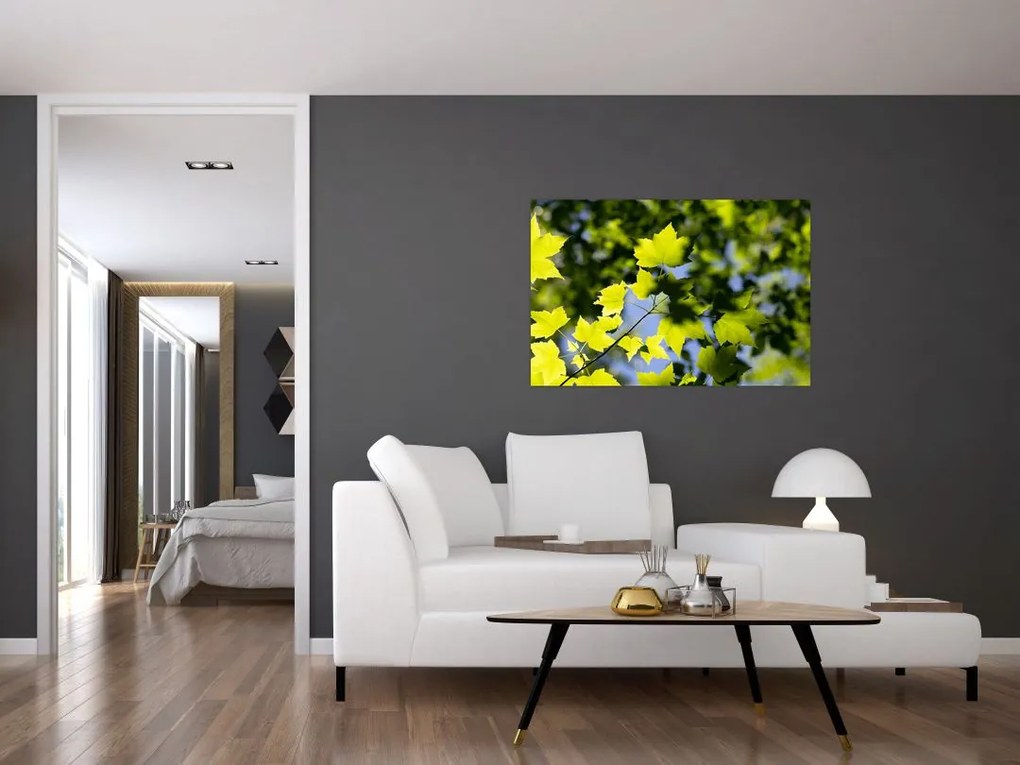 Tablou - frunze de arțar (90x60 cm)