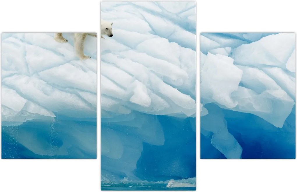 Tablou - Ursul polar (90x60 cm)
