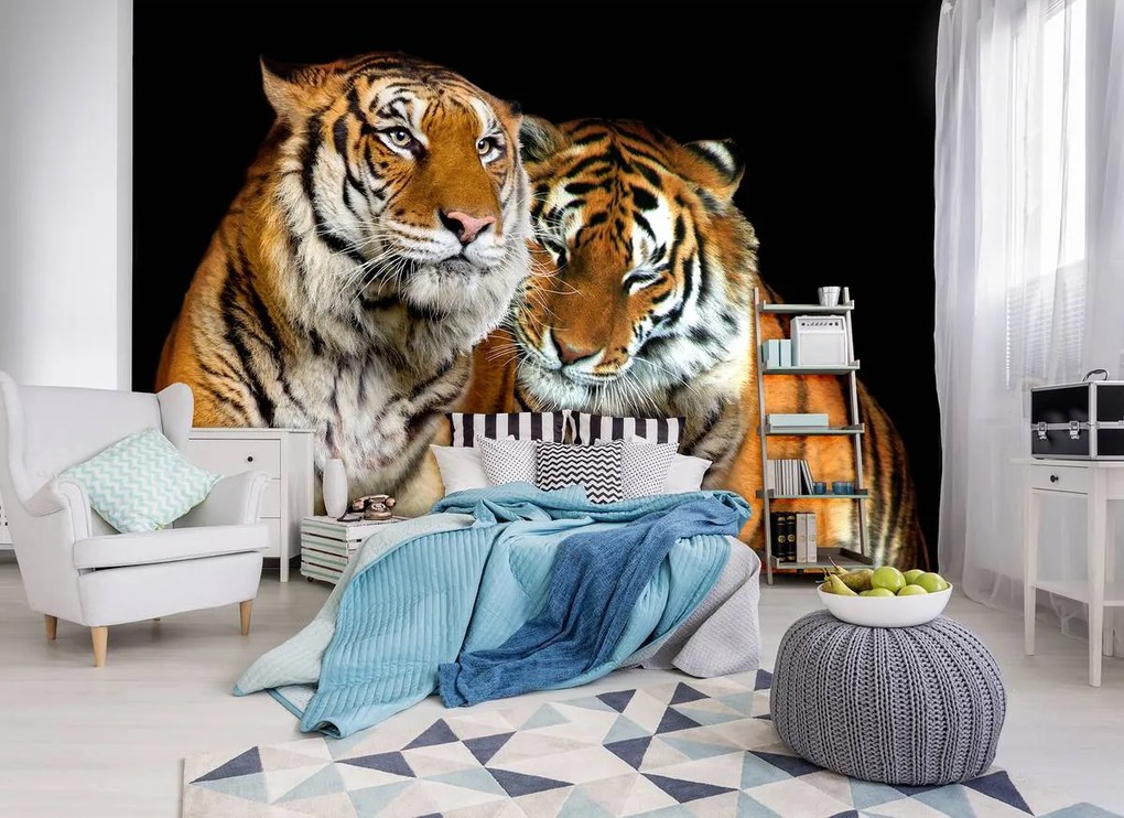 Fototapet - Tigri (254x184 cm)