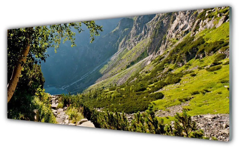 Tablou pe sticla Mountain Natural Pădurea Verde Gri