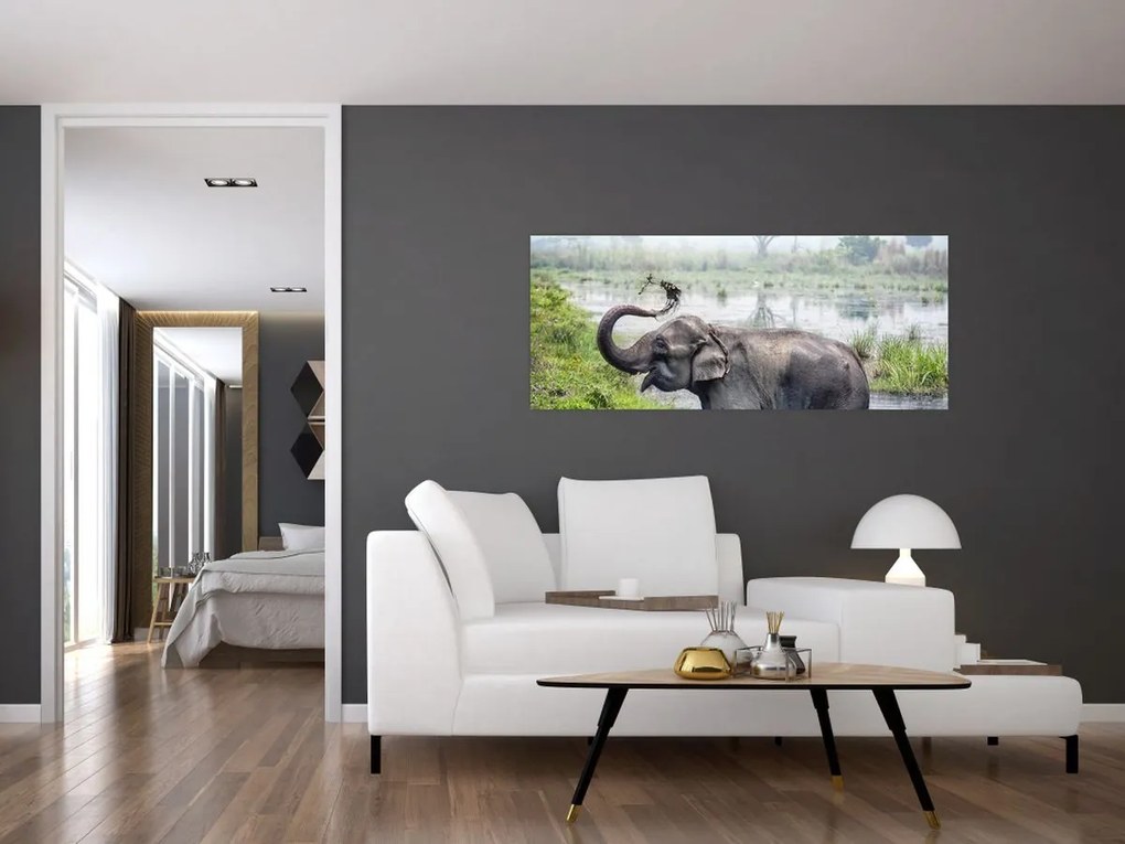 Tablou - Elefant de scăldat (120x50 cm)