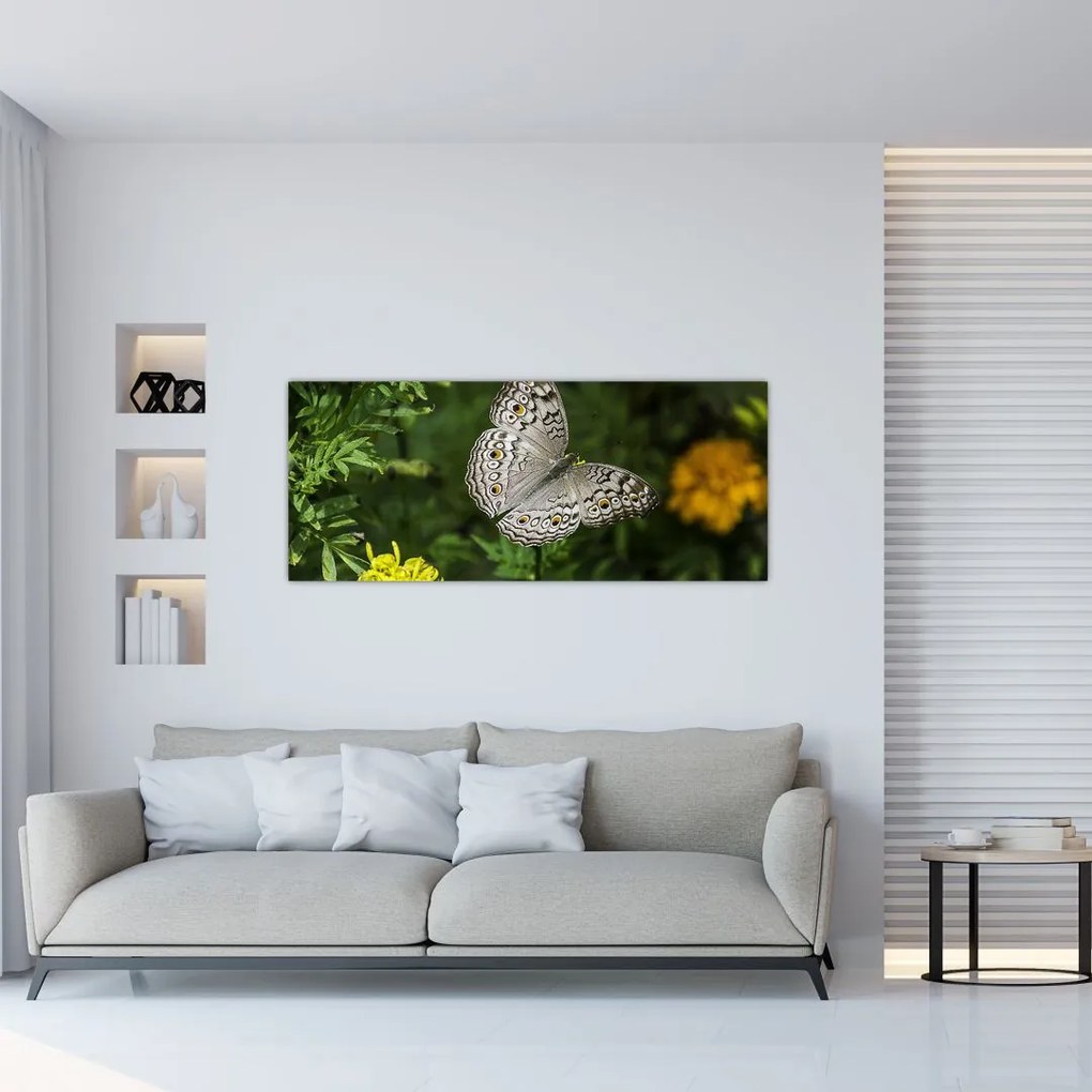 Tablou - fluture alb (120x50 cm)