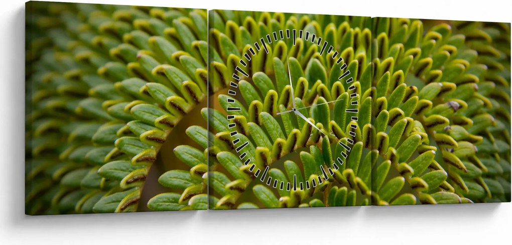 Tablou - Fern (cu ceas) (90x30 cm)