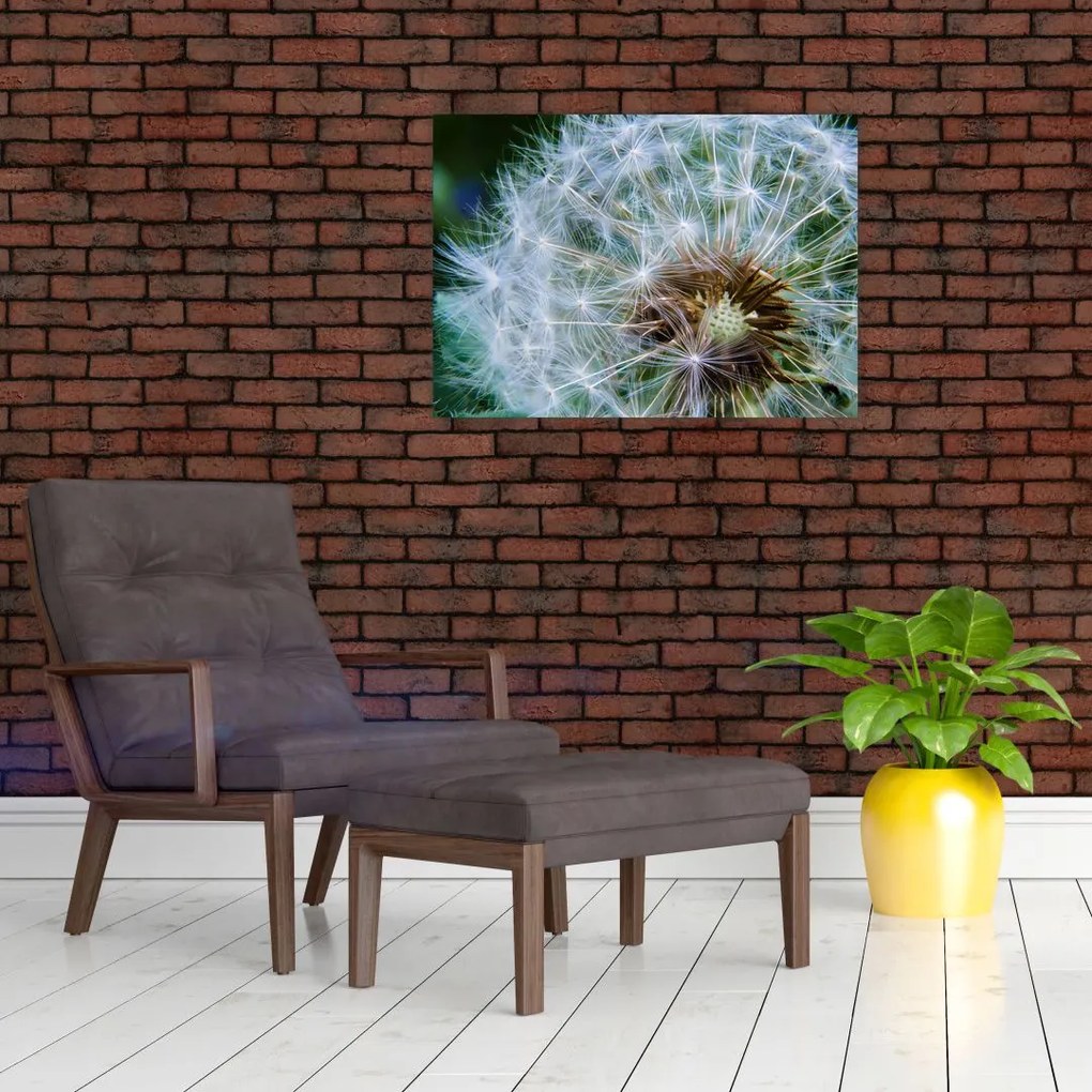 Tabloul cu păpădie desflorit (70x50 cm)