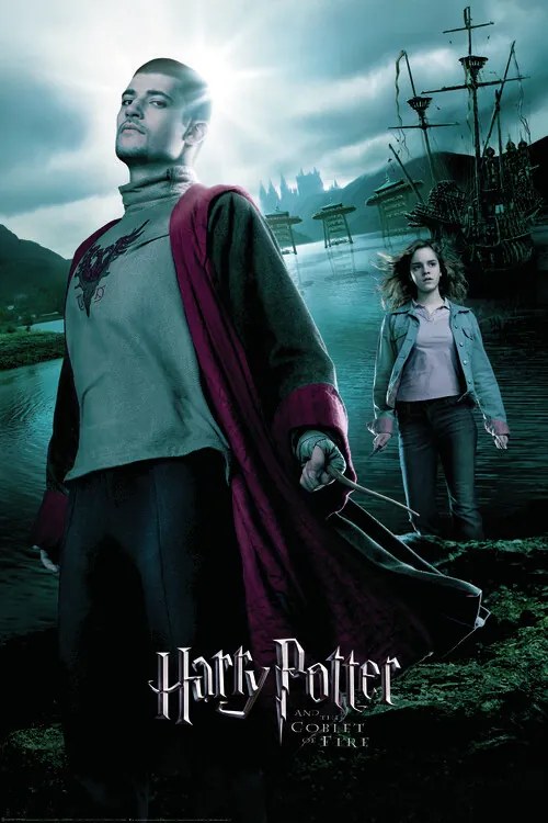 Poster de artă Harry Potter and the Goblet of Fire - Krum