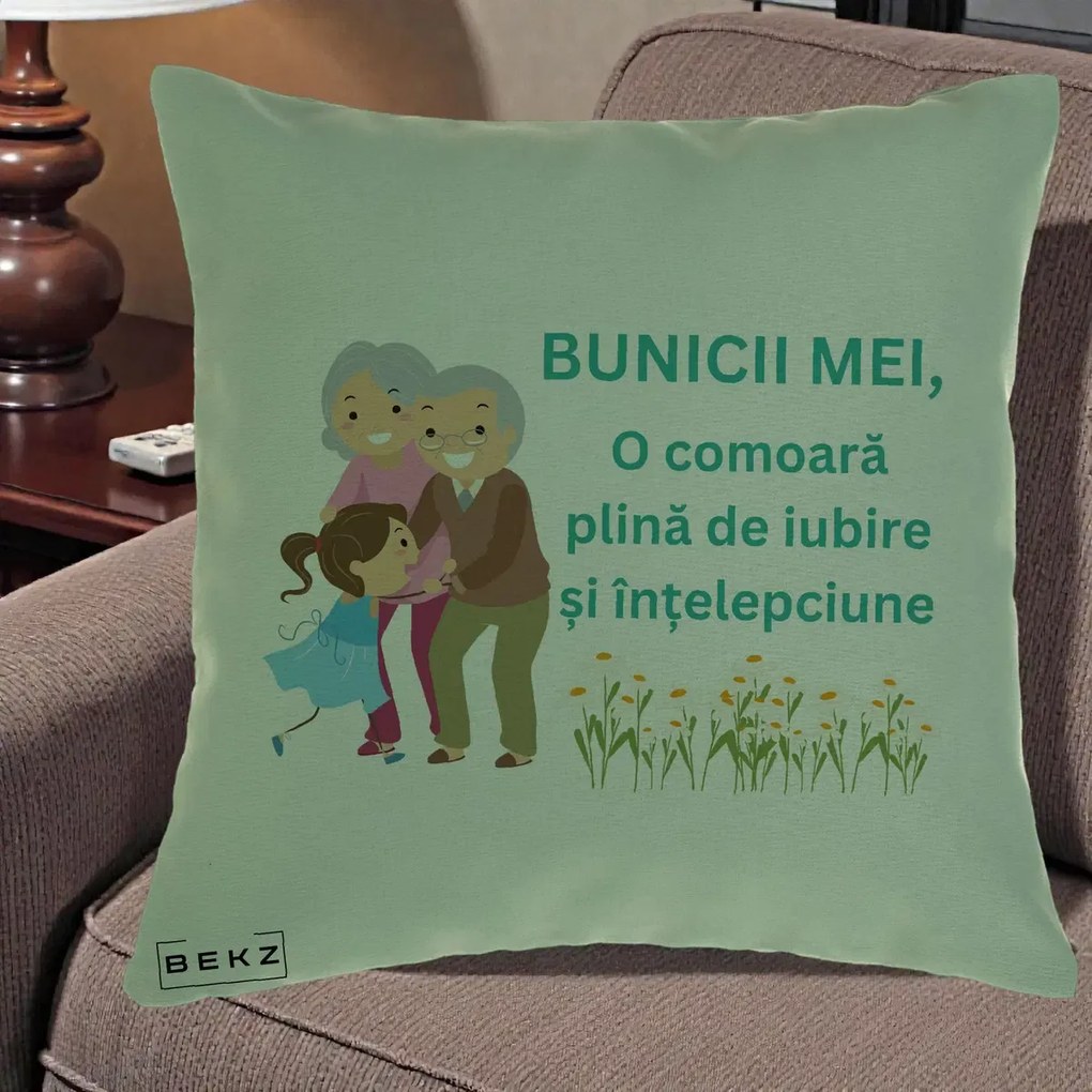 Cadou pentru Bunici - Perna Personalizata Bunicii Mei Comoara Iubire Intelepciune Nepoata, 40x40 cm, Verde, Husa Detasabila, Perna Inclusa, BEKZ®
