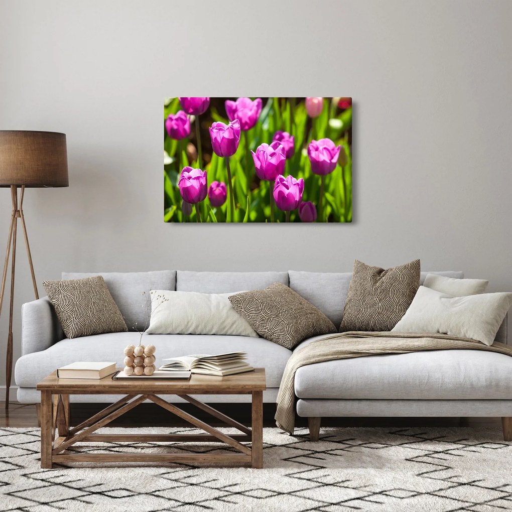 Tablou cu lale pe luncă (90x60 cm)