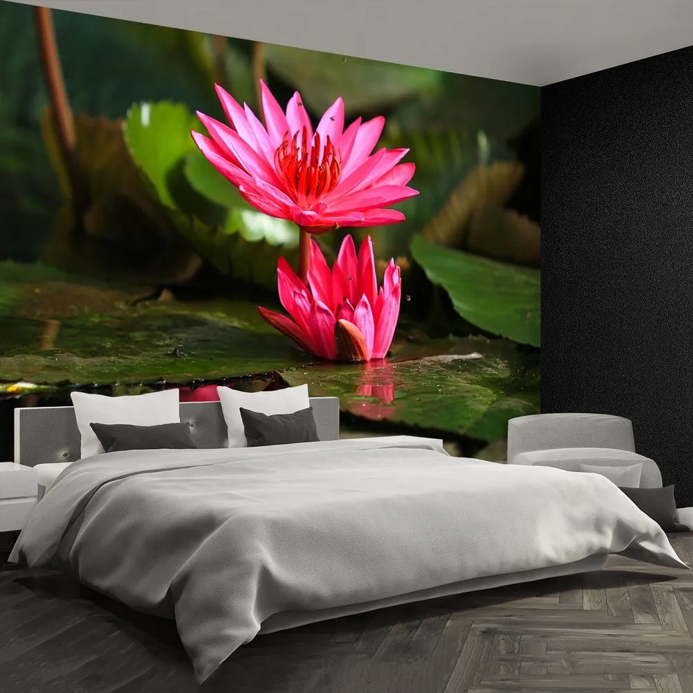 Fototapet Lotos Pond