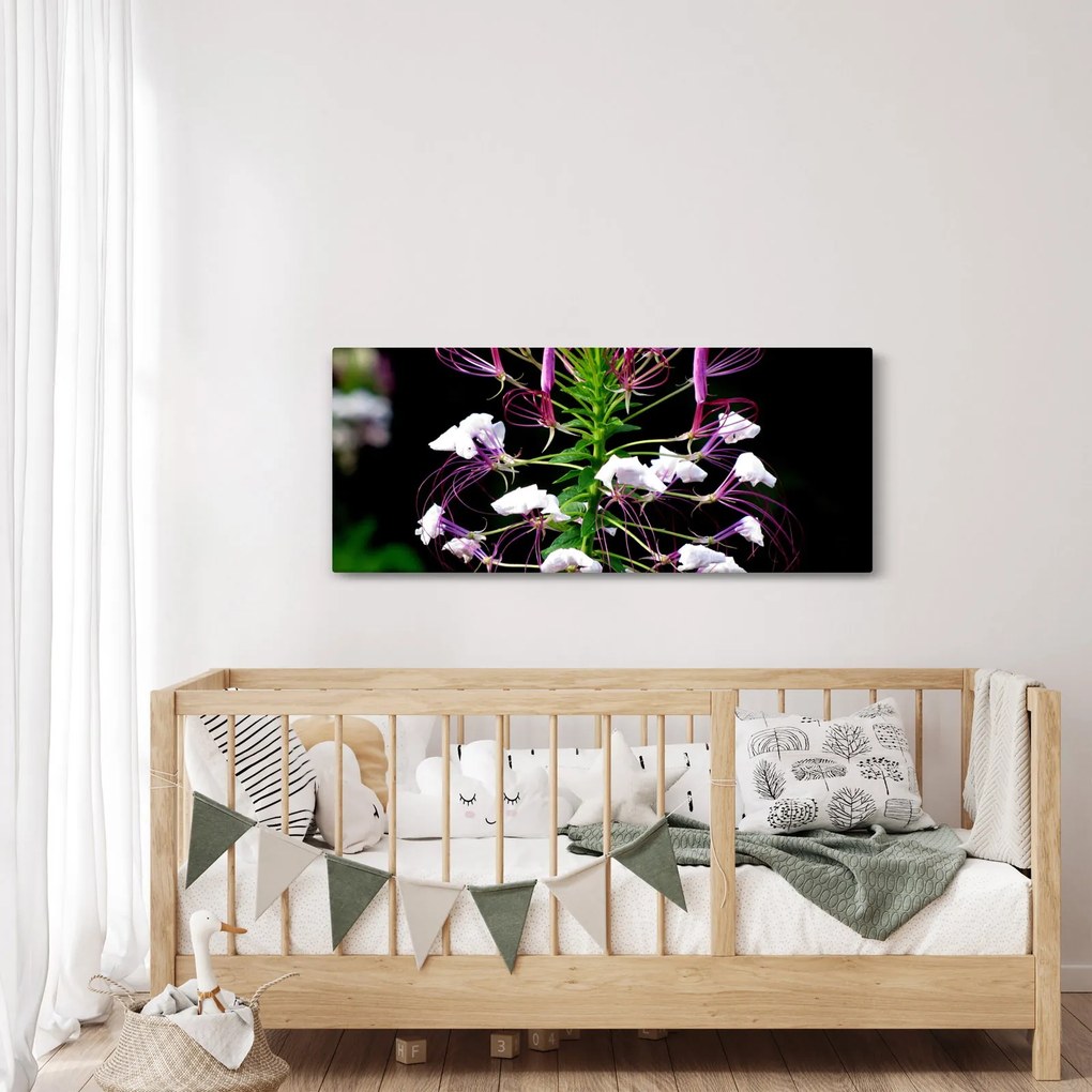 Tablou cu floare (120x50 cm)