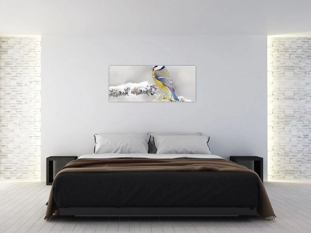 Tablou - Tit albastru în pădure (120x50 cm)