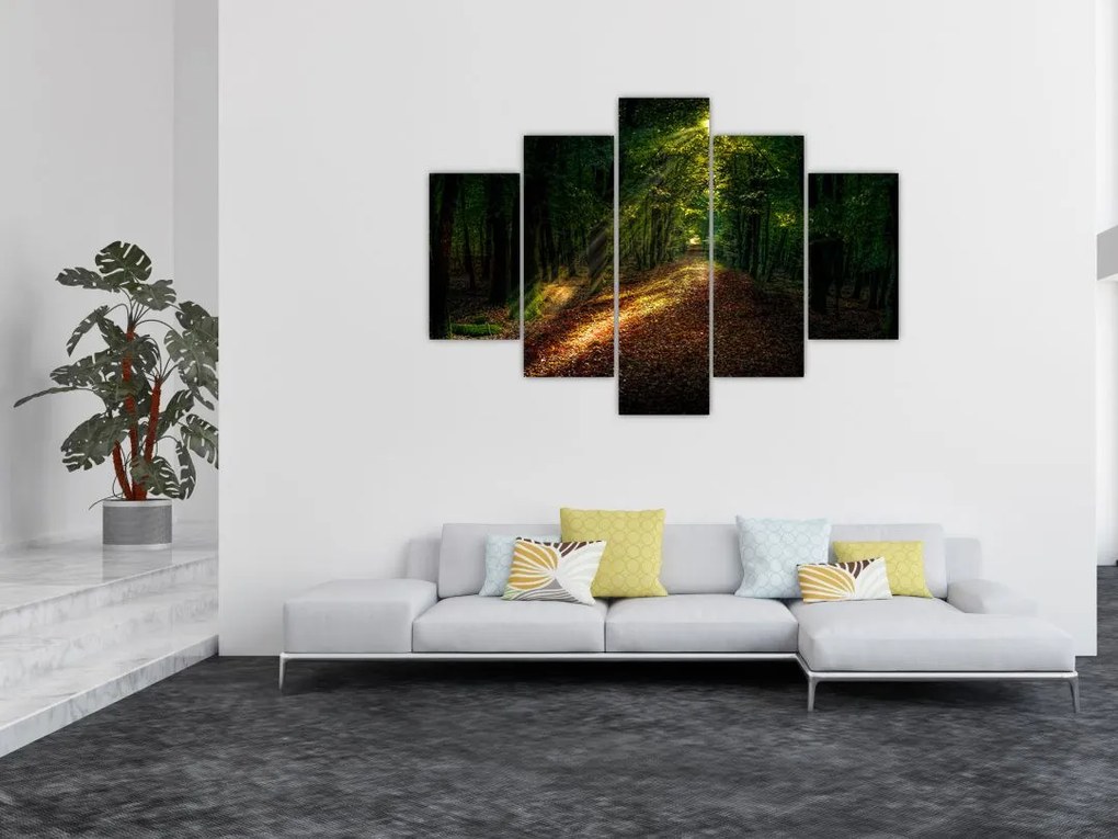 Tablou cu poteca prin pădure (150x105 cm)