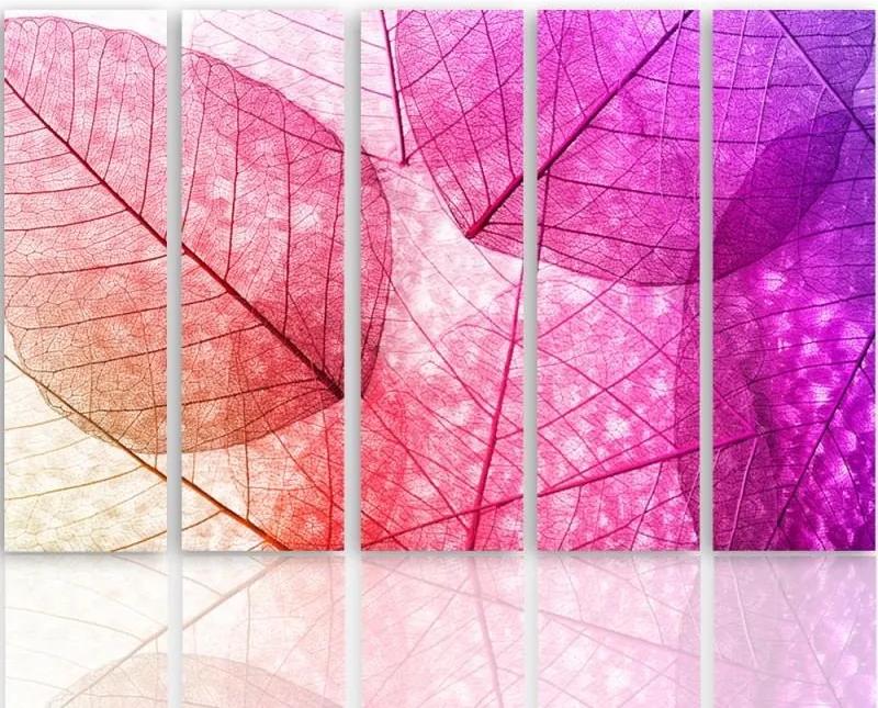 CARO Tablou pe pânză - Pink Leaves 150x100 cm