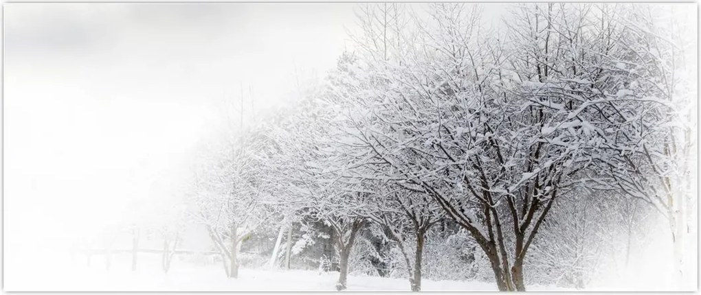 Tablou - Aleea de iarnă (120x50 cm)