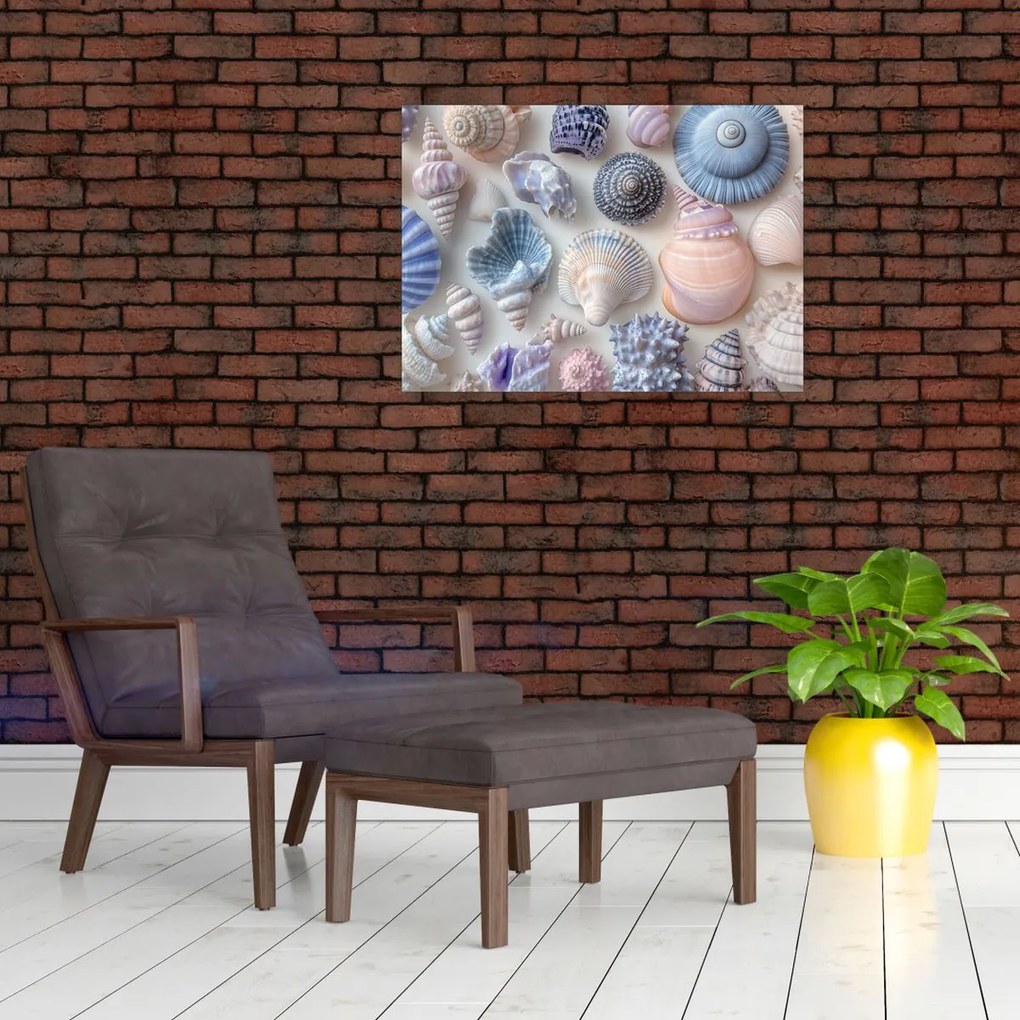 Tablou pe sticlă - Colecție de scoici (70x50 cm)
