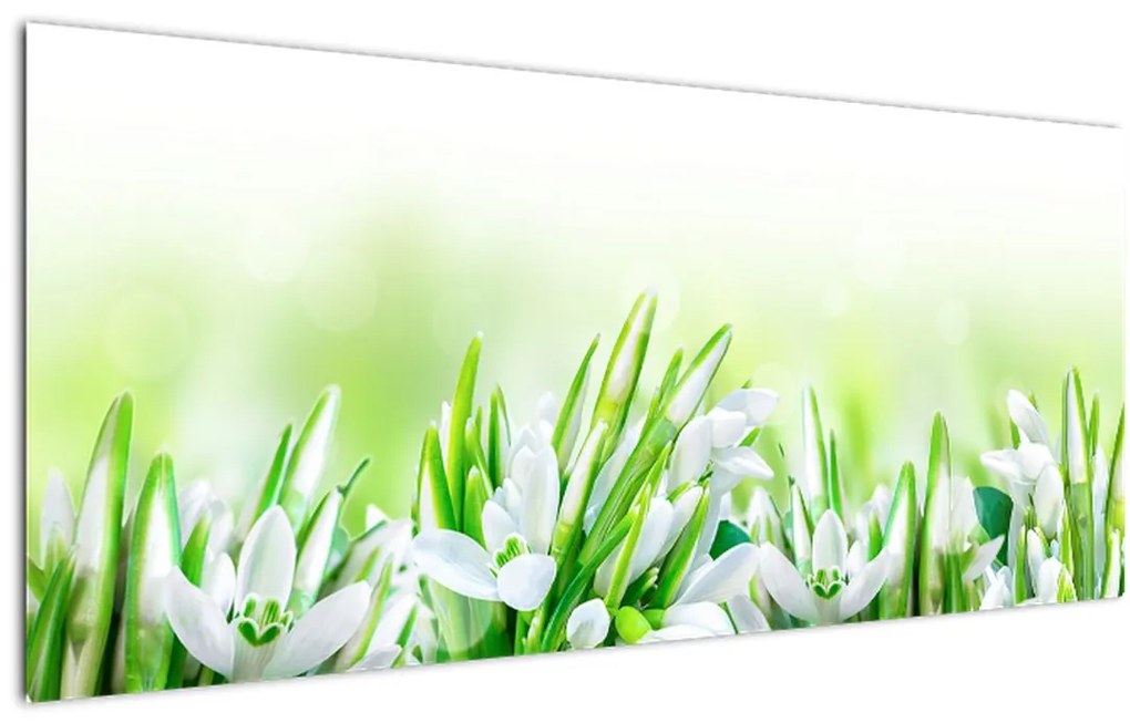 Tablou - Ghiocei (120x50 cm)