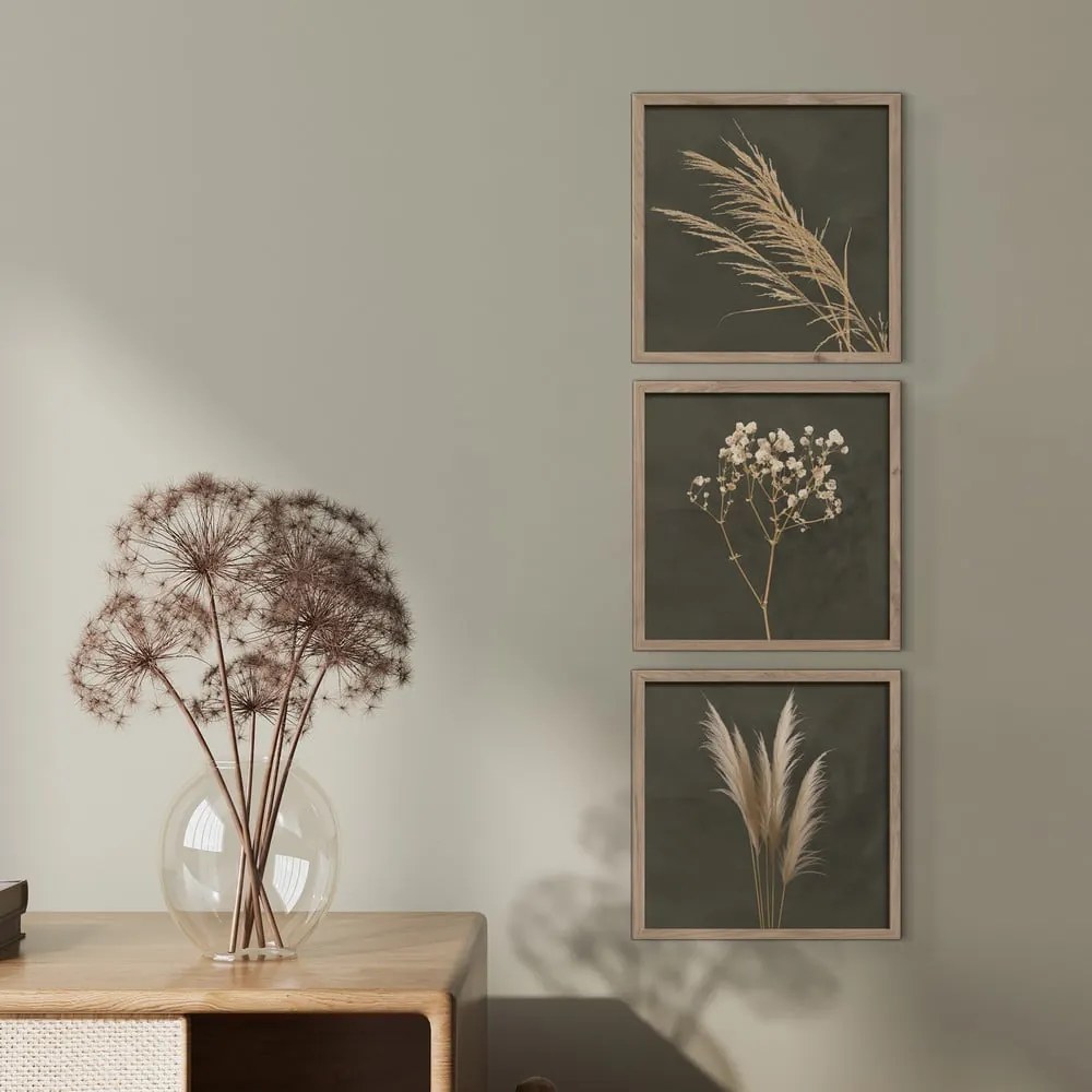 Tablouri 3 buc. 30x30 cm Pampas – Styler