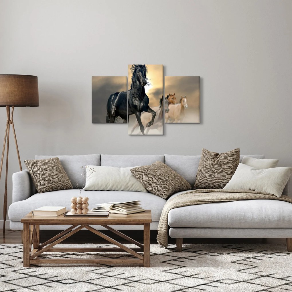 Tablou - Cai (90x60 cm)