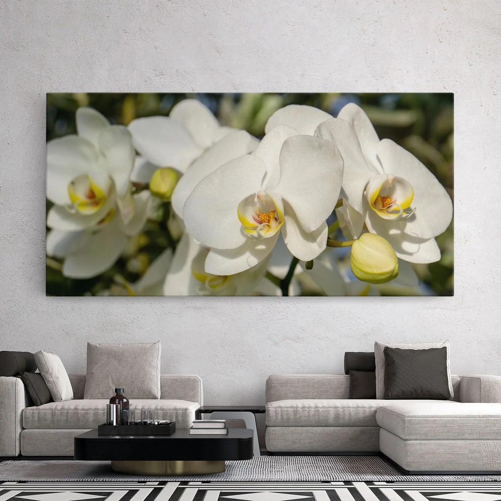 Tablou Canvas, 50x100cm, Dormitor si Living, Flori, Orhidee, Big Orchids In Nature