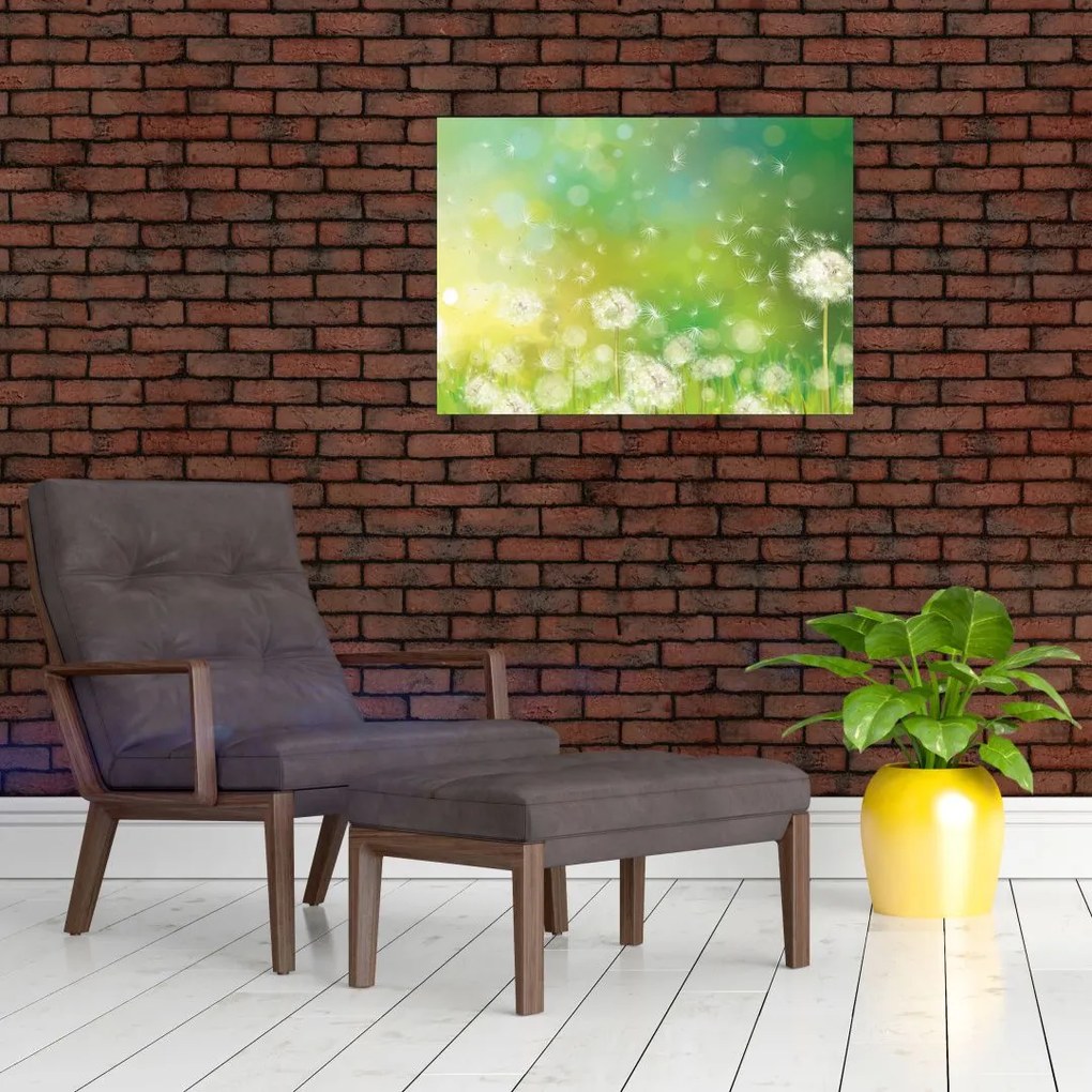 Tablou pe sticlă - Păpădie înflorită (70x50 cm)
