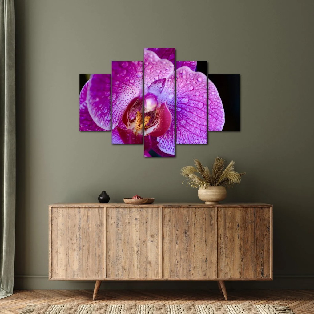 Tablou detailat cu floare de orhidee (150x105 cm)