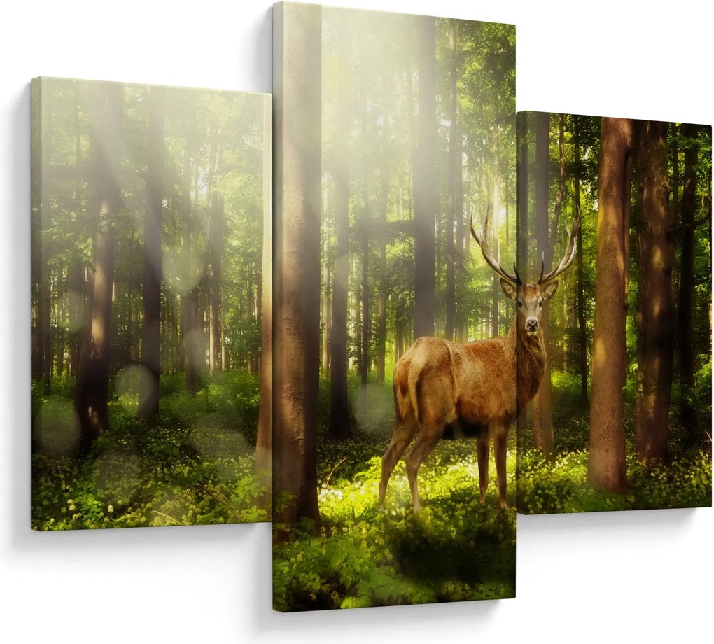 Tablou cu cerbul în pădure (90x60 cm)